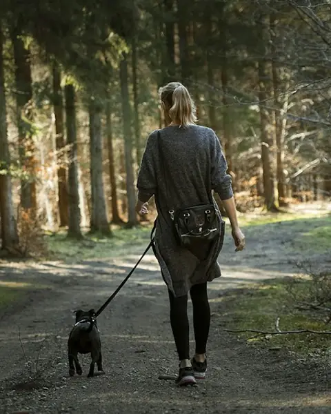 Someone walking a dog on a leash along a forest path.